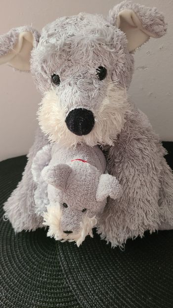 doudou chien et son petit bandana happy