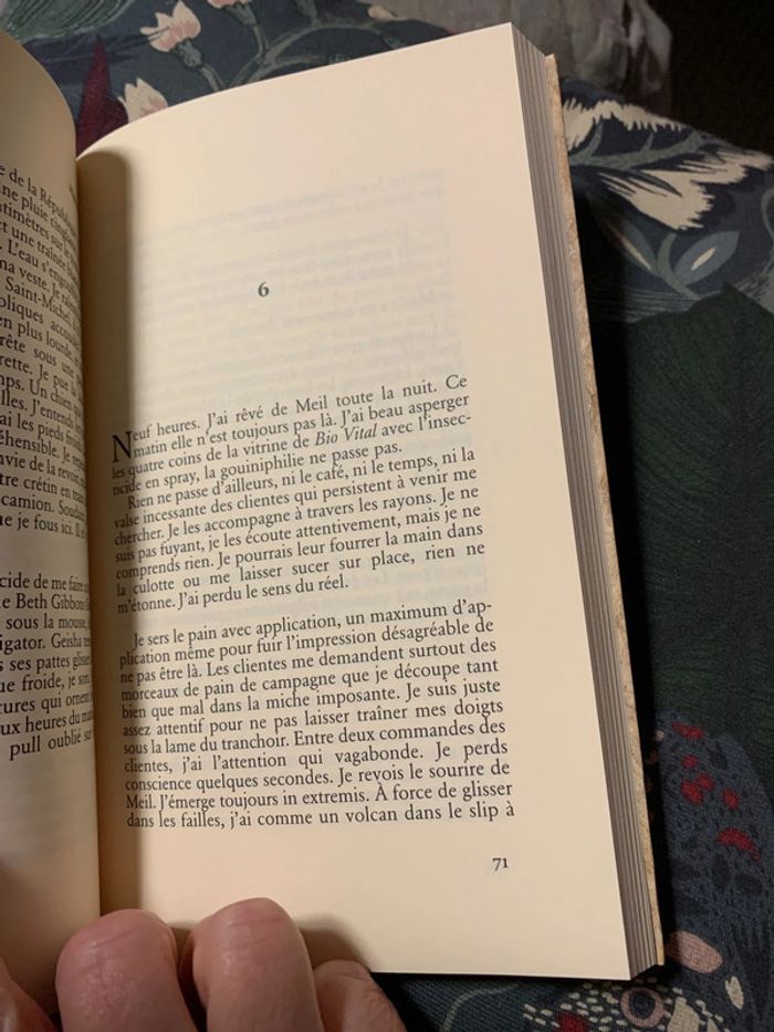 Migrateur - photo numéro 6