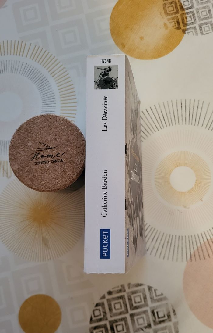 Saga Les Déracinés : Tome1 Les Déracinés de Catherine Bardon - photo numéro 3