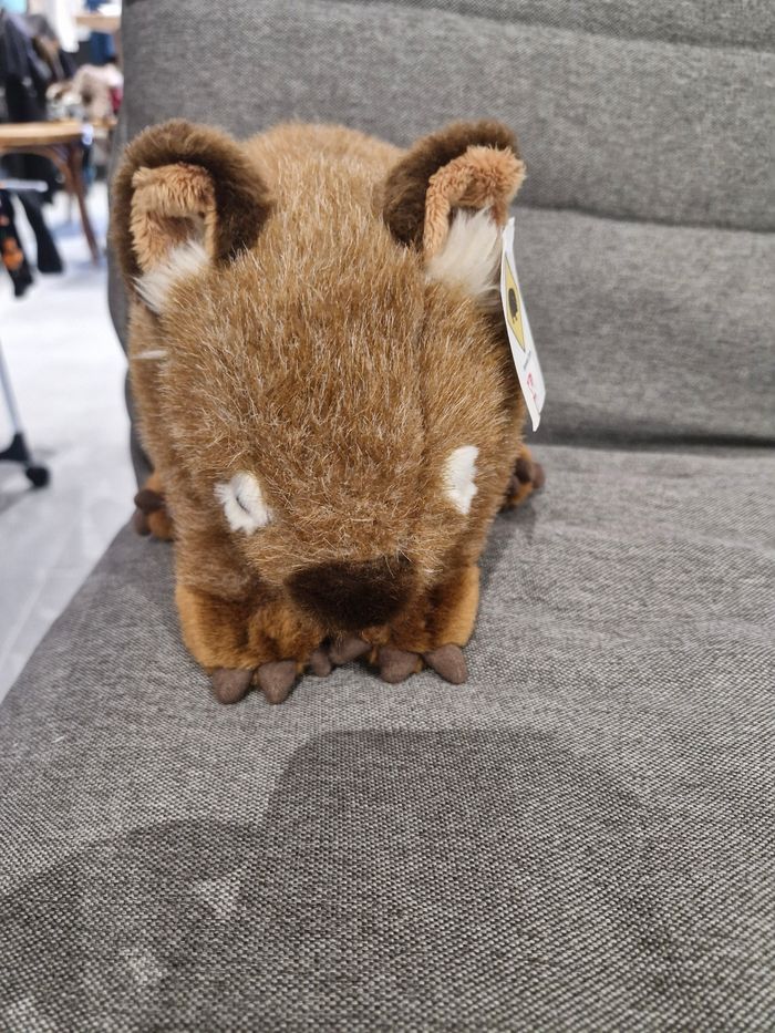 Wombat - photo numéro 3