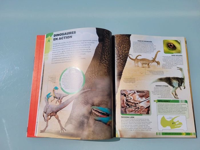 Livre Dokéo+ Réalité Augmentée : Les Dinosaures en action (43) - photo numéro 5