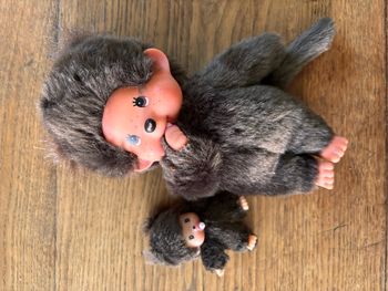 Kiki original et son bébé
