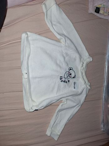 Pull koala