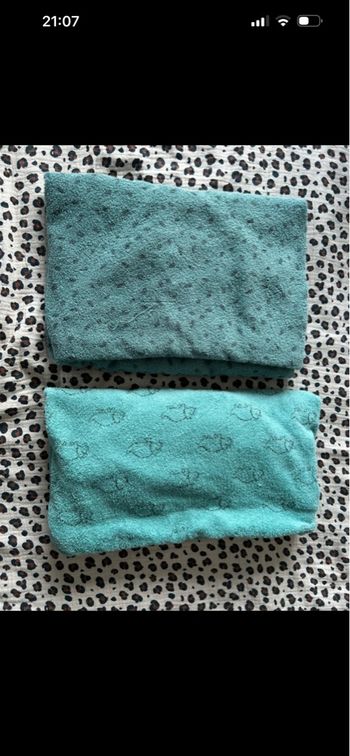 Capes de bains dinosaures