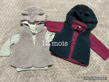 Gilets sans manche et tshirts 12 mois