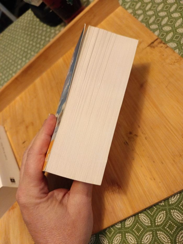 Livres Sarah Lark roman comme neuf - photo numéro 18