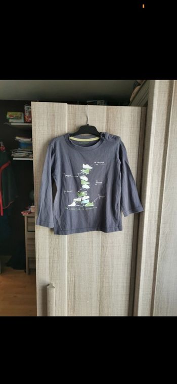 Tee shirt garçon, 4ans