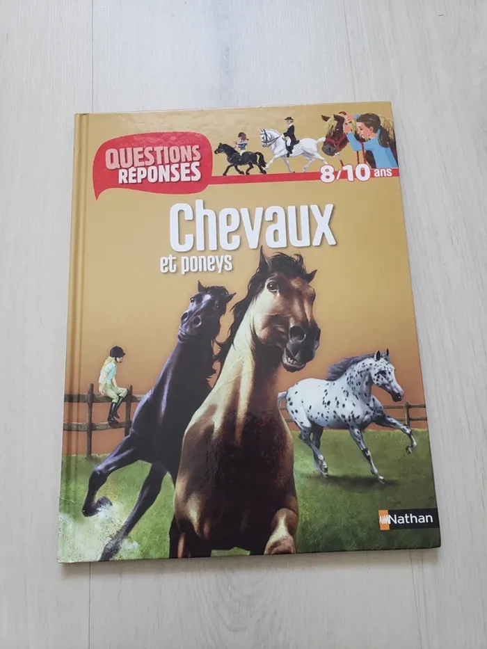 Questions réponses chevaux et poneys