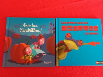 Lot de 2 petits livres Mac do