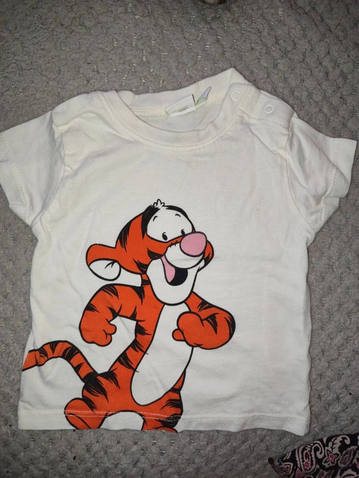T shirt Tigrou garcon - photo numéro 2