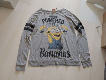 Pull léger gris minion