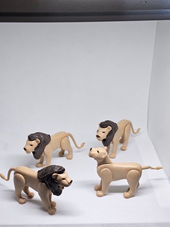 Playmobil lion lionne wiltopia