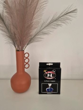 Jeu de magie : le flacon magique