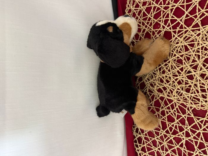 doudou chien bouvier bernois ami plush - photo numéro 2