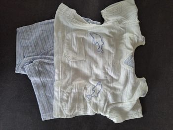 ensemble short dauphin 12 mois