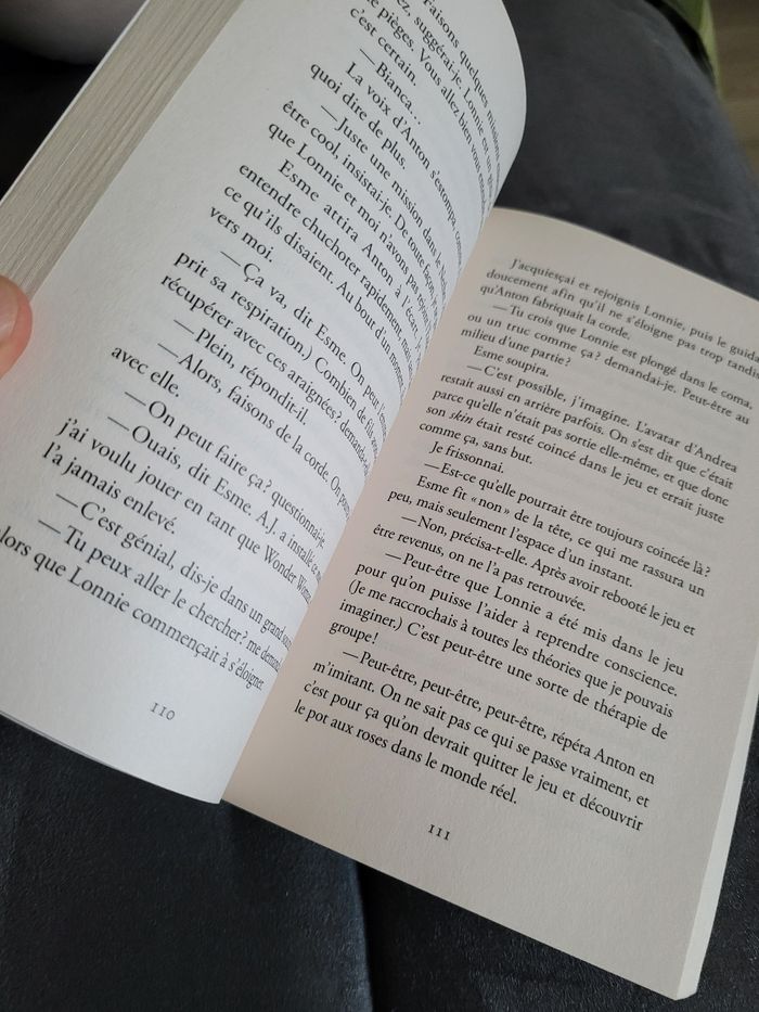 roman minecraft le choc (6e) - photo numéro 3