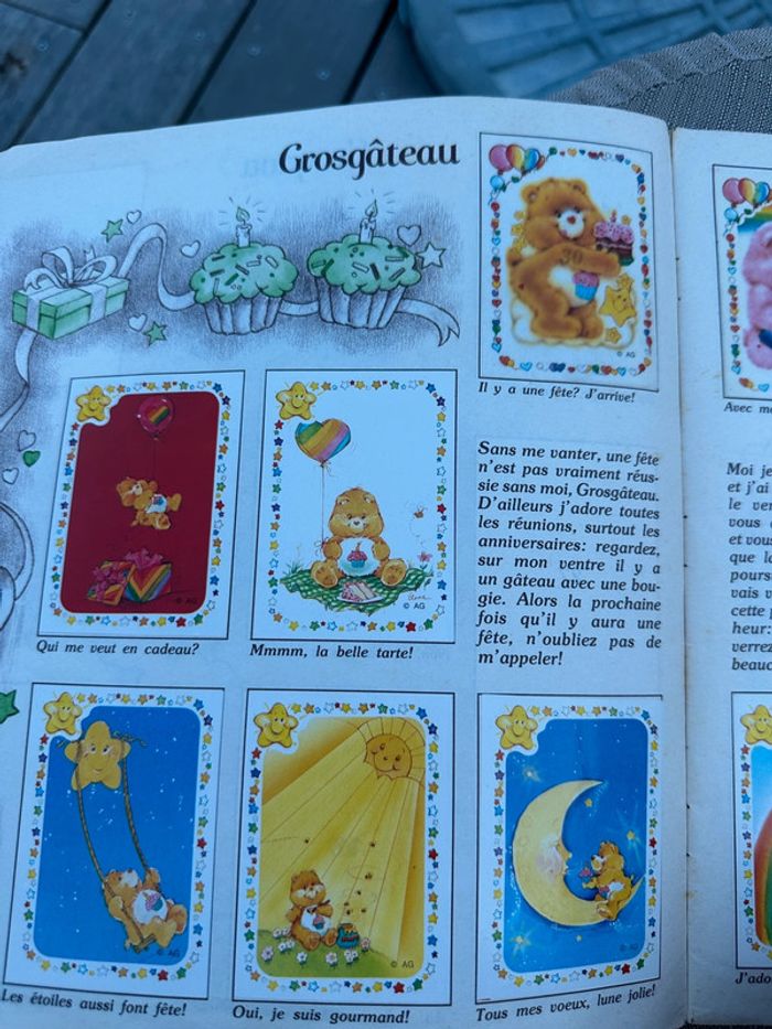 Album Panini stickers ancien vintage Les Bisounours complet images Care Bears stickers - photo numéro 7