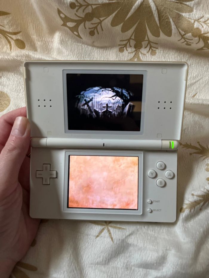 Jeu de Nintendo DS Castlevania Portait of ruin - photo numéro 4