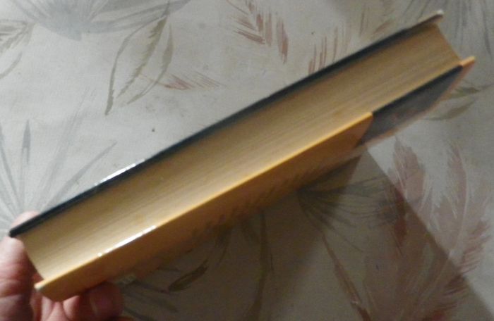 La sorcière de Monique Fournier Ed. France Loisirs - photo numéro 4