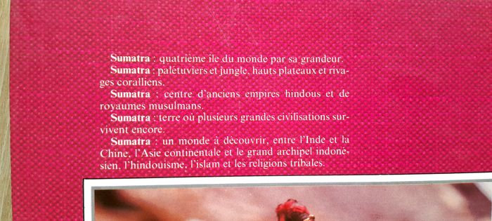 Sumatra (voyage, culture) - photo numéro 3