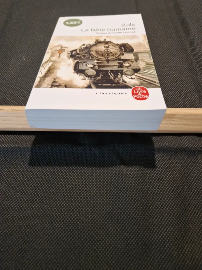 La Bête Humaine - Emile Zola - photo numéro 2