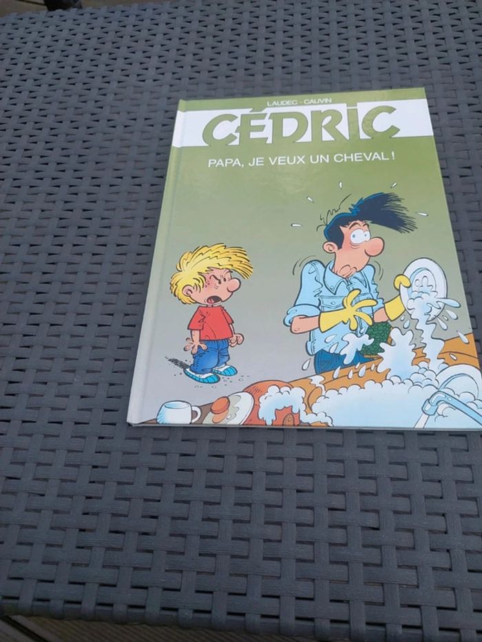 Bd cedric - photo numéro 3
