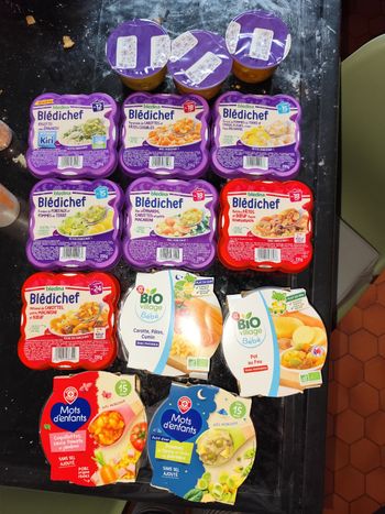 Petit plats bledina