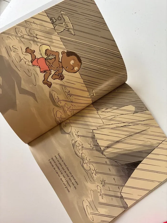 Livre sassou - photo numéro 5