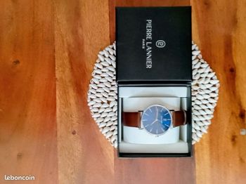 Montre pierre lannier
