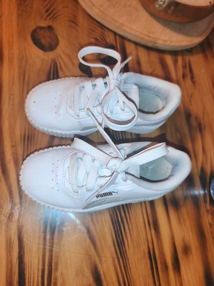 Puma - photo numéro 2