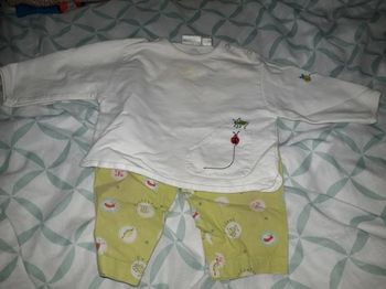 Ensemble vert anis et blanc