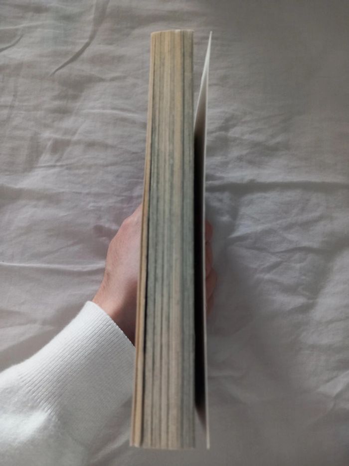 Over Bleed Tome 1 - photo numéro 4