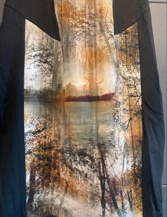 Robe - photo numéro 4