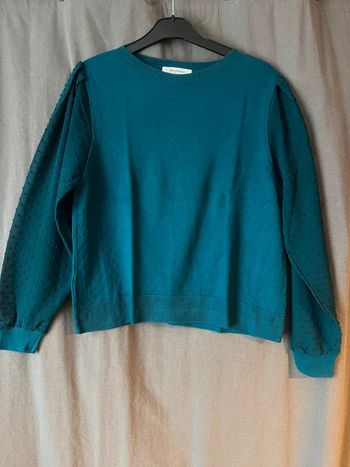 Pull avec manches transparentes