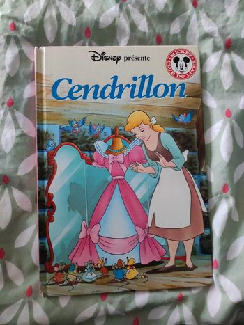 Livre cendrillon