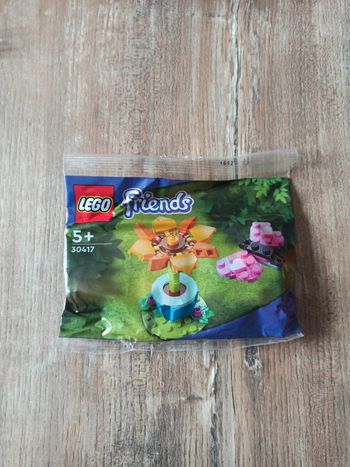 Polybag Lego 30417
