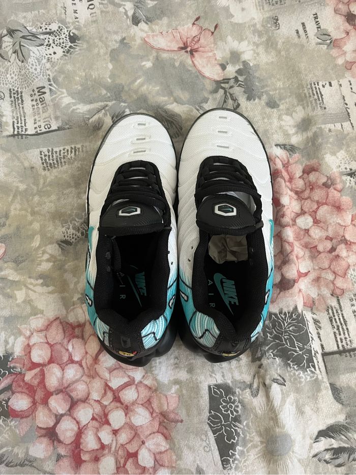 Tn  Neufs - photo numéro 4