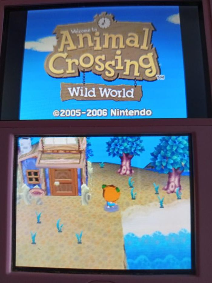 Nintendo - DS - Animal crossing - Wild world - photo numéro 10