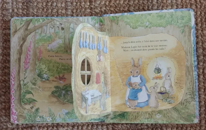 Cours vite, Pierre lapin! (2018) adapté des contes de Beatrix Potter - photo numéro 8