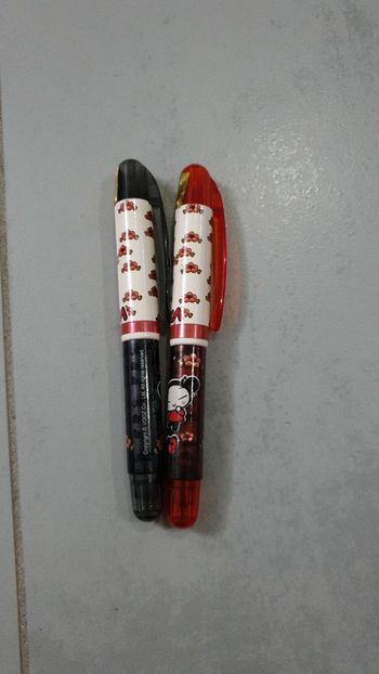 2 Stylos plumes pucca neuf.