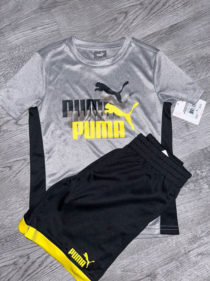 Ensemble Puma