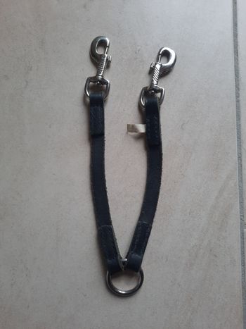 Accouple en cuir pour 2 chiens