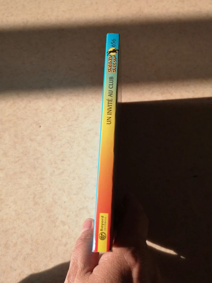 Un invité au club - photo numéro 3