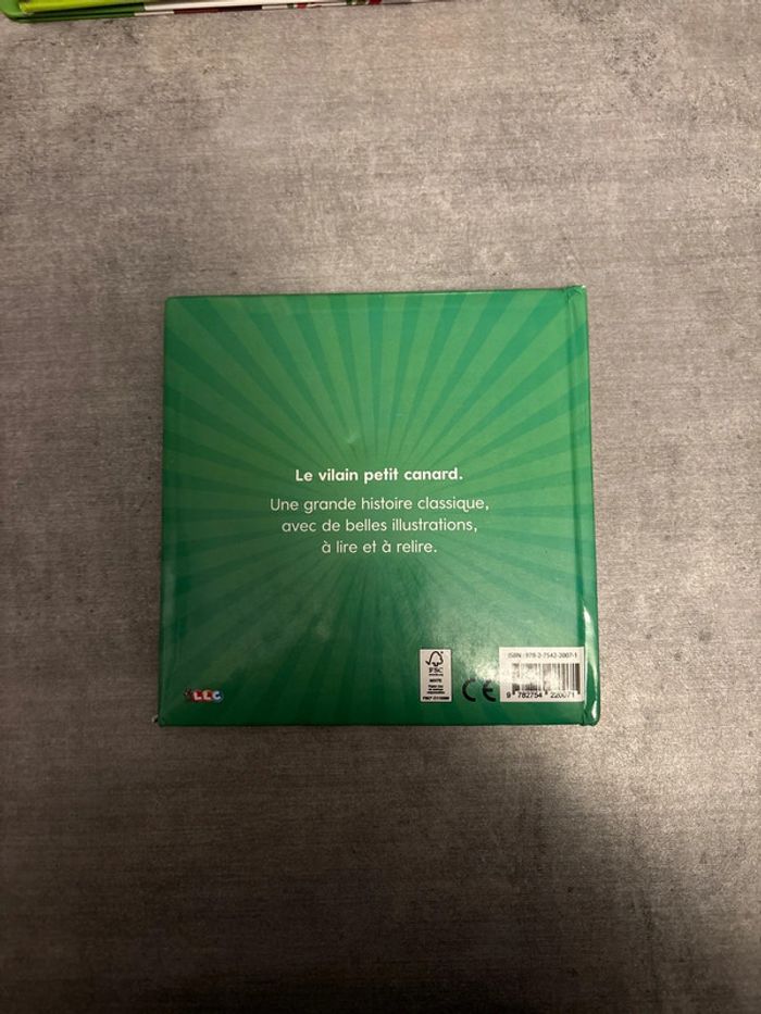 Livre le vilain, petit canard - photo numéro 5