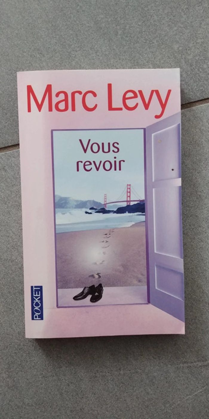 Livre "Vous revoir" Levy
