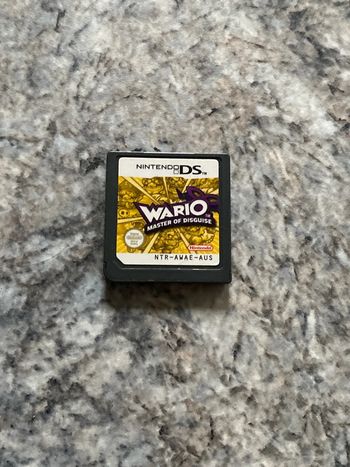 wario master of disguise ds