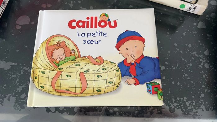 Livre caillou