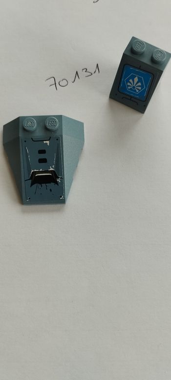 Lot de pièces lego 70131