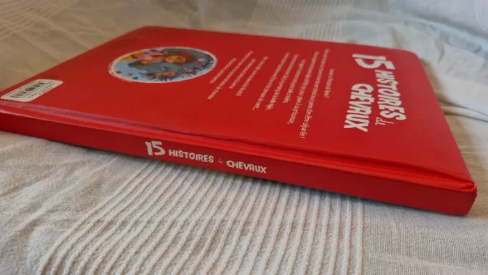 15 histoires de chevaux d evelyne duverne - photo numéro 3