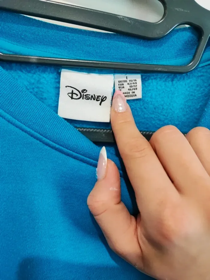 Pull Disney - photo numéro 2